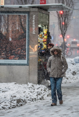 17 NYC Snow 02.jpg