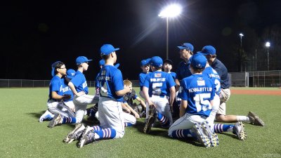 Cubs @ Blue Jays - April 18, 2016
