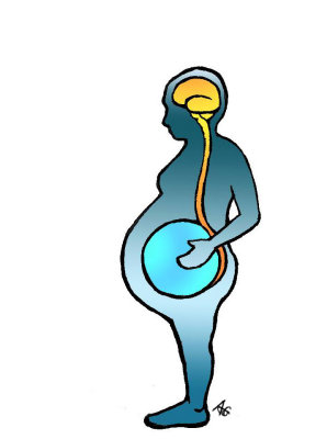 pregnancy and neuro