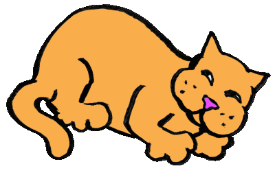 cat.gif