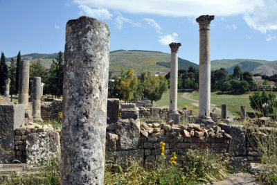 g9/93/329493/3/150748186.enW7Zduu.jpg