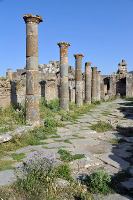 g9/93/329493/3/150748314.AgZtsZXT.jpg