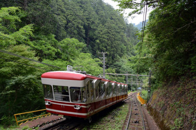 g9/93/329493/3/151589678.0QhpB67E.jpg