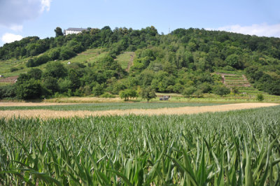 g9/93/329493/3/151652163.HcURLEUN.jpg