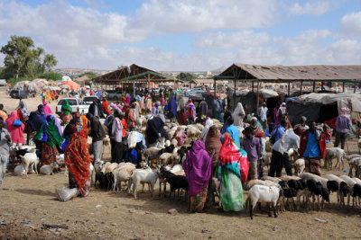 Hargeisa Livestock Market