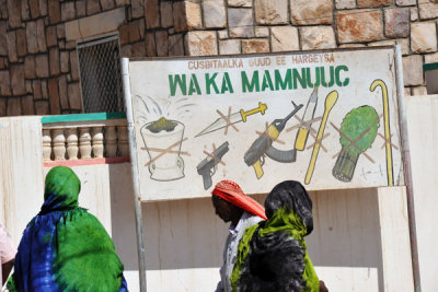 Sign with prohibitions on hospital grounds - weapons, cigarettes, qat...but that thing on the left?