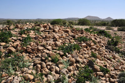 Our guide told us this pile of rocks was the remains of an ancient tomb