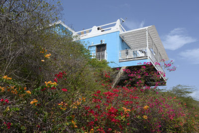 Bed & Breakfast Blenchi, Curaao