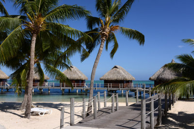 TahitiOct13 0398.jpg