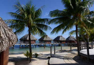 TahitiOct13 0403.jpg