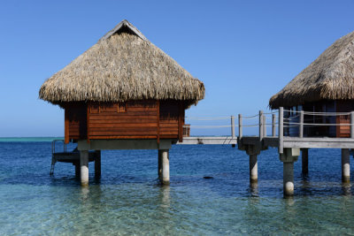 TahitiOct13 0405.jpg