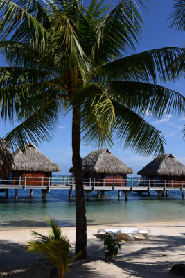 TahitiOct13 0411.jpg