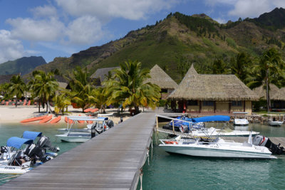 TahitiOct13 0656.jpg