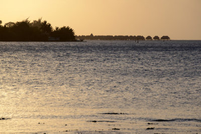 TahitiOct13 0252.jpg