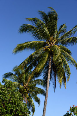 TahitiOct13 0362.jpg