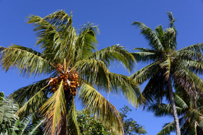 TahitiOct13 0378.jpg