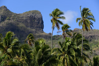 TahitiOct13 0388.jpg
