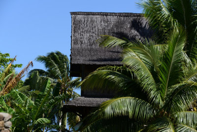 TahitiOct13 0426.jpg