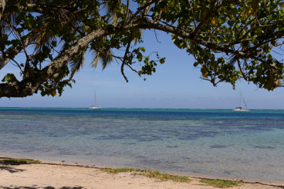 TahitiOct13 0429.jpg