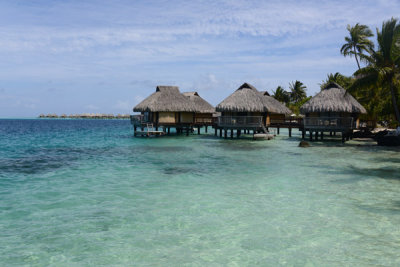 TahitiOct13 1244.jpg