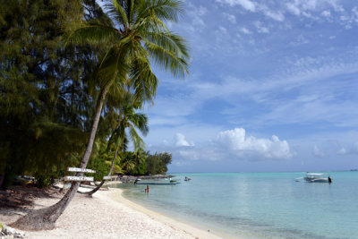 TahitiOct13 1283.jpg