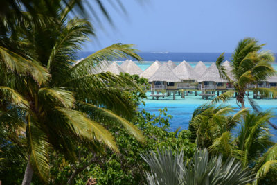 TahitiOct13 1637.jpg