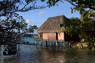 TahitiOct13 2060.jpg