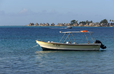 TahitiOct13 2063.jpg