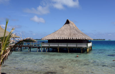 TahitiOct13 1468.jpg