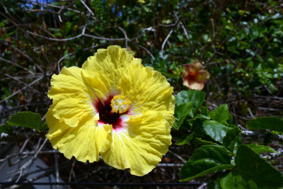 TahitiOct13 1555.jpg