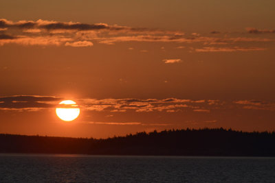 g9/93/329493/3/157163996.SuOTG2J4.jpg