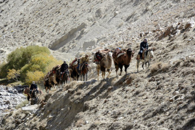 Camel caravan, Wakhan Corridor, Afghanistan