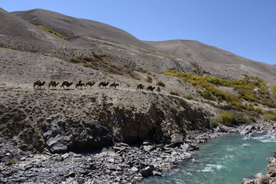 The Afghan caravan continues on its way along the Pamir River