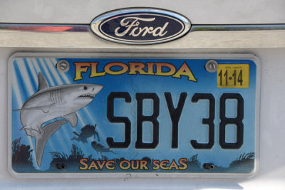 FloridaKeys Feb14 021.jpg
