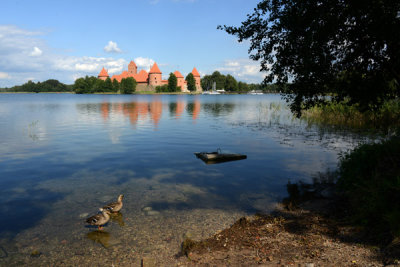 g9/93/329493/3/158526055.WIpiJKUI.jpg