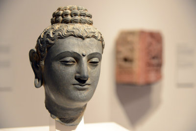 Buddha head, Gandhara (Pakistan), 3rd C.