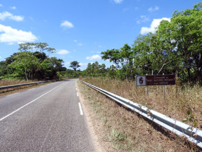 FrenchGuiana Oct15 0597.jpg