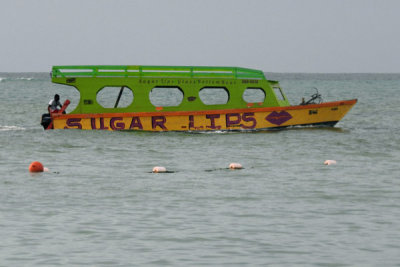 Sugar Lips glass bottom boat