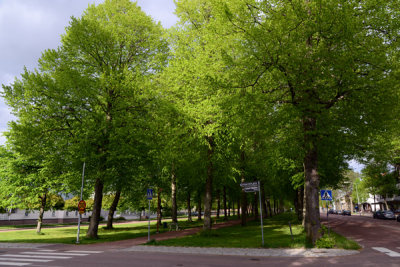 Tree-lined promenade between Storagatan and Norra Esplanadgatan, Mariehamn