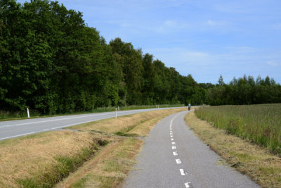 Cycleway along Lss sterbyvejen