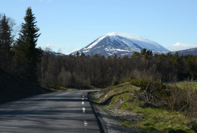 g9/93/329493/3/162058942.YBkuSam3.jpg
