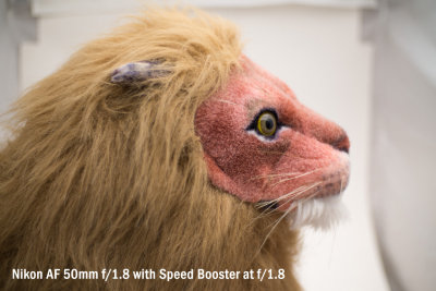 >SB test: Lion