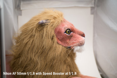 lion_50_1.8_SB_1.8_reference.jpg
