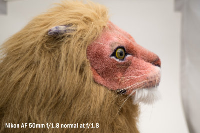 lion_50_1.8_normal_1.8.jpg