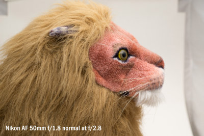 lion_50_1.8_normal_2.8.jpg
