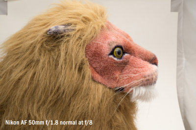 >SB test: Lion