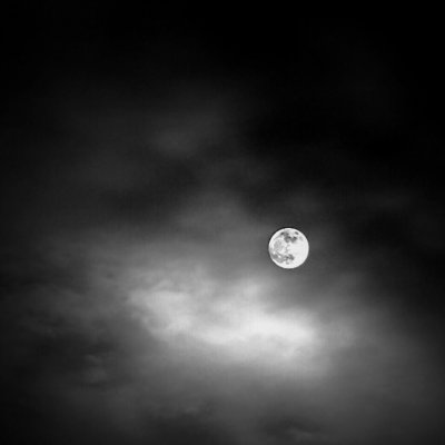 November Moon B&W