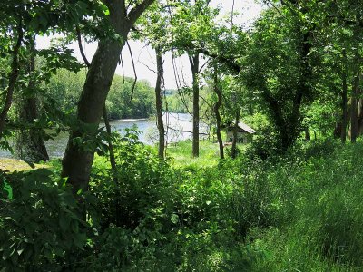 Lehigh River View