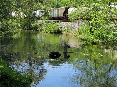 Monster Eyes Train