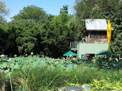 Lotus Pond & Gazebo